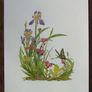 Print of a botanical watercolour painting by Patrick O Hara Image 2