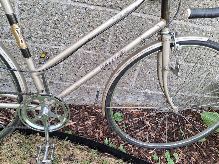 Ladies Bike