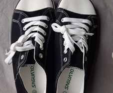 saguaro converse style runners