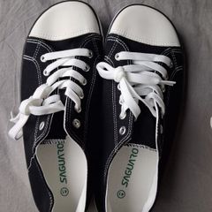 saguaro converse style runners