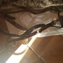 Guess Womens Bag Image 2