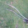 Vintage green plough, garden ornament, D18 Image 2