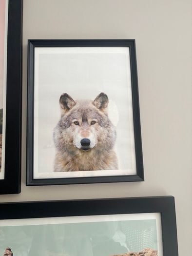 Bedroom Desert Road Trip Gallery Wall Set of 6
