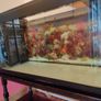 235L Tropical Aquarium (Bio 105) and Table Stand Image 7