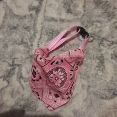 small dog collar with bandana