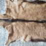 Genuine deer hide rugs Image 7