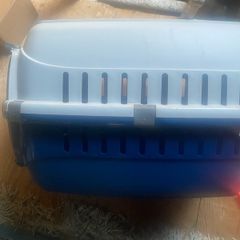 cat carrier