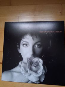 Kate Bush Vinyl