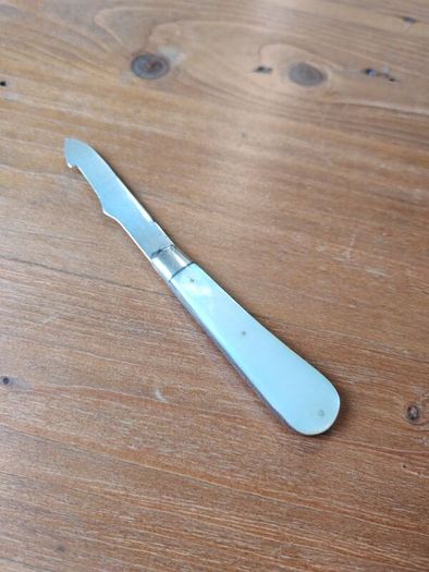 Silver Mother of Pearl Fruit Knife