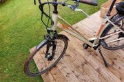adults bike