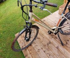 adults bike