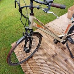 adults bike