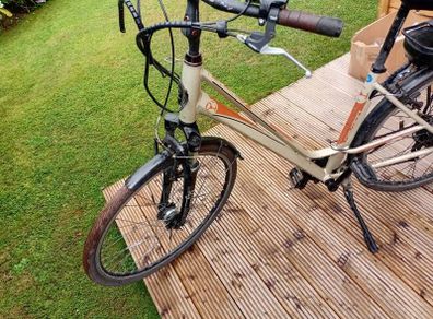 adults bike