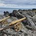 Jonty21
