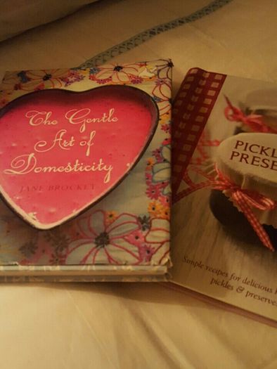 Domestic Goddess Books