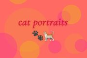 acrylic pet portraits
