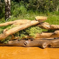 hand crafted drift  wood centre piece