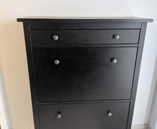 Shoe storage cabinet