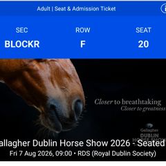 RDS Dublin Horseshow