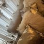 5 decorative pillows with a large beautiful laces curtain in brown and white colors Image 5