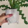 Artificial Plants in Ceramic Pots x7 Image 8