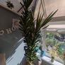 plants Image 5