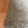 carpet Image 2