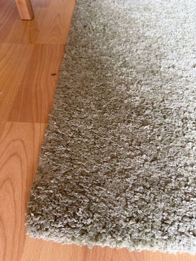 carpet