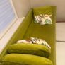 Sofa Image 2