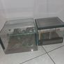 2 x terrariums Image 6
