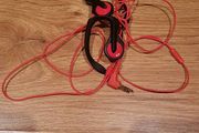 Sports earphones