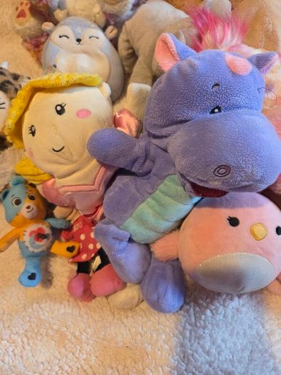 teddies