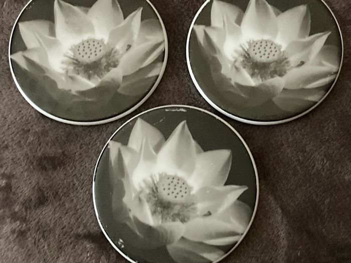 Coasters x6