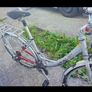 Goldrush meteor bike Image 6
