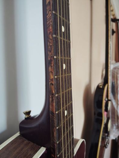 very rare semi acoustic guitar