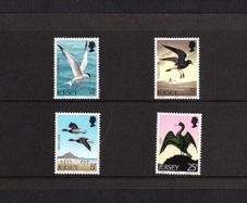 1975 Jersey Seabirds Commemorative Stamps Presentation Pack