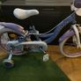 Frozen bike with stabiliser wheels Image 3