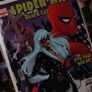 Spider-Man Black Cat: The Evil That Men Do ! Issue #4 ! 2006 ! by Marvel Image 2