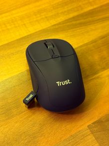 TRUST Wireless mice