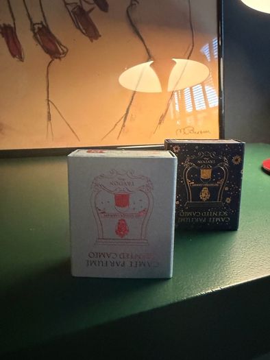 Trudon candle melts