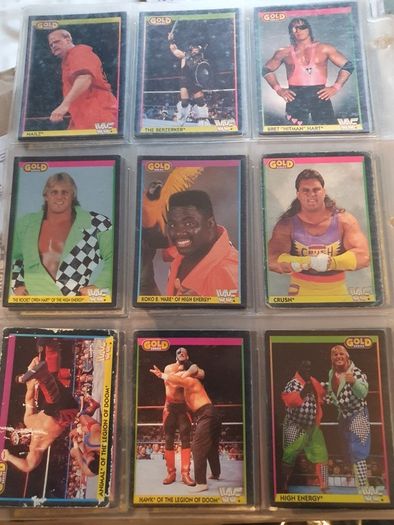 WWF Merlin Trading Cards full set of 96