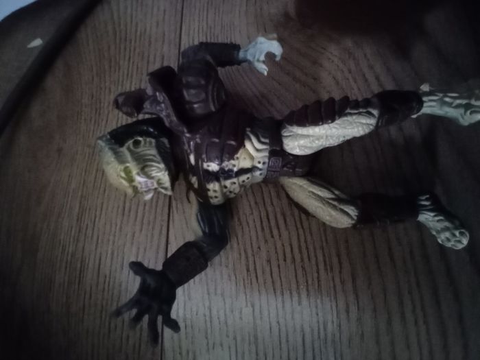 Predator
