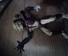 Predator