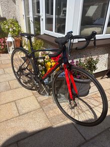 Orbea bike