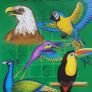 Drawing Books - Birds and Fantasy Figures  with 2 design source books  Decorative Initials & Flowers Image 6