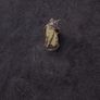 Siamese Cat Themed , Vintage Pin Badge Image 2