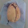 SoapStone Eggs Image 5