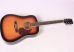Acoustic Guitar Starter Pack with Gigbag, Strap & Picks