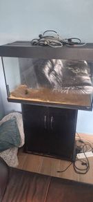 Fish Tank