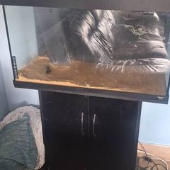 Fish Tank